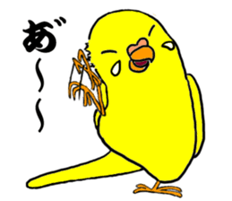 The Budgerigars sticker #744445