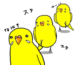 The Budgerigars sticker #744446
