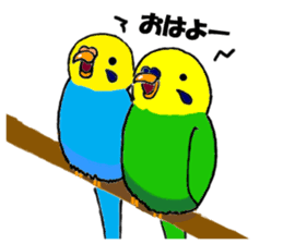 The Budgerigars sticker #744447