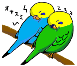 The Budgerigars sticker #744449