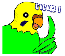 The Budgerigars sticker #744451