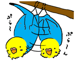 The Budgerigars sticker #744454