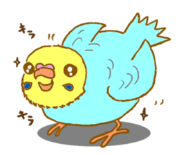 The Budgerigars sticker #744455