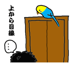 The Budgerigars sticker #744458