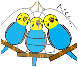 The Budgerigars sticker #744459