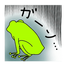 Freewheeling frog sticker #746204