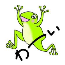 Freewheeling frog sticker #746213