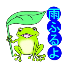 Freewheeling frog sticker #746214