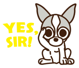 Coco & Pipi english ver. sticker #746395