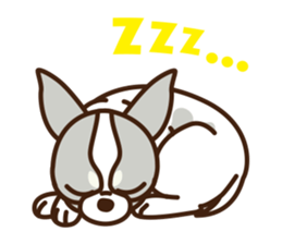 Coco & Pipi english ver. sticker #746404