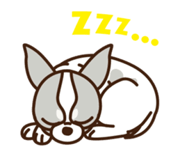 Coco & Pipi english ver. sticker #746404