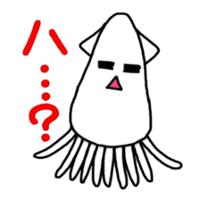 Squid of pet sticker #746524