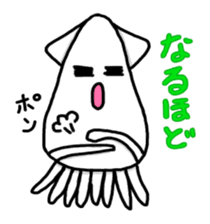 Squid of pet sticker #746534