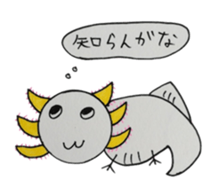 That is right,axolotl. sticker #746723