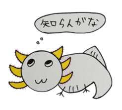 That is right,axolotl. sticker #746723