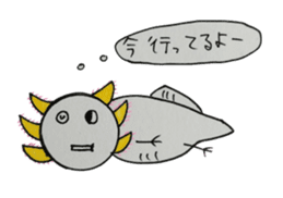 That is right,axolotl. sticker #746724