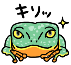 Frogs of the world sticker #748434