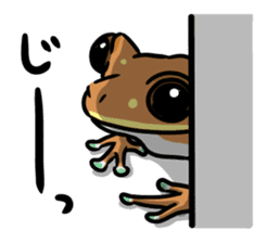 Frogs of the world sticker #748443