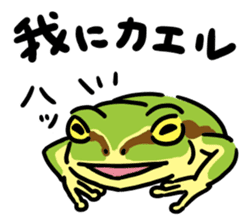 Frogs of the world sticker #748460