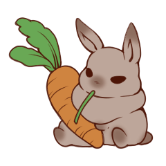 Every day of a fat person rabbit