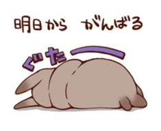 Every day of a fat person rabbit sticker #749408
