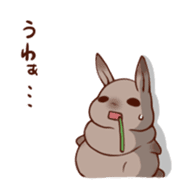 Every day of a fat person rabbit sticker #749411