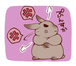 Every day of a fat person rabbit sticker #749416