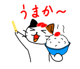 Cat in Fukuoka sticker #753628
