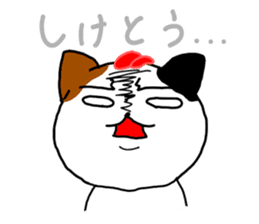 Cat in Fukuoka sticker #753630