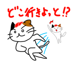 Cat in Fukuoka sticker #753636