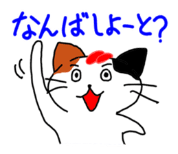 Cat in Fukuoka sticker #753641