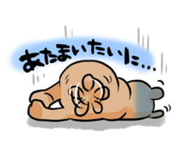 starlit-bear stickers sticker #754451