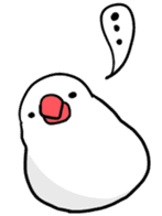 Java sparrow Stickers sticker #754941