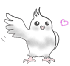 It is a Sticker of cockatiel ! sticker #755440