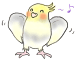 It is a Sticker of cockatiel ! sticker #755448