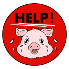 Matthew of piglets sticker #757451