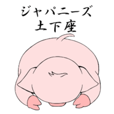 Matthew of piglets sticker #757453