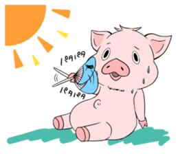 Matthew of piglets sticker #757460