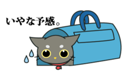 My black cat Guil sticker #758614