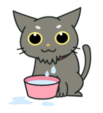 My black cat Guil sticker #758622