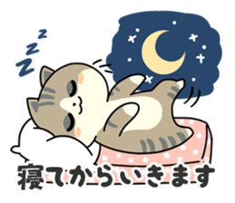 Going Cat sticker #758794