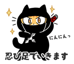 Going Cat sticker #758808