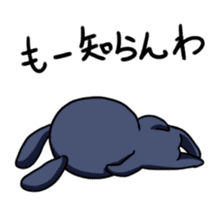 Everyday of rabio sticker #761169