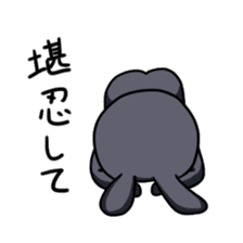 Everyday of rabio sticker #761181