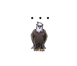 Bald eagle sticker #761314