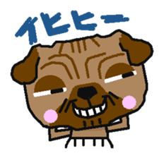 Every day of a white bread pug sticker #761670