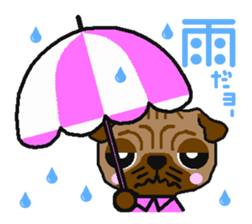 Every day of a white bread pug sticker #761673