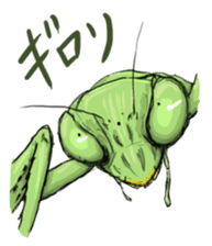 Mantis sticker #763200