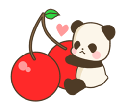 live panda sticker #764324