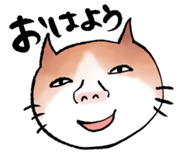 Human-faced cat sticker #765783